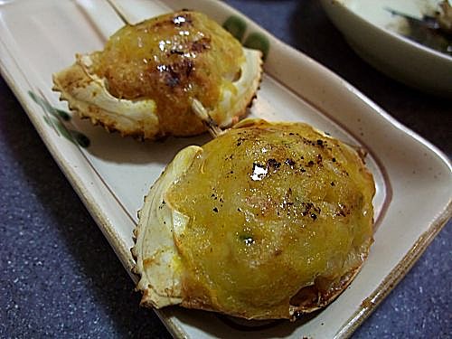 ap_20090416065301629.jpg