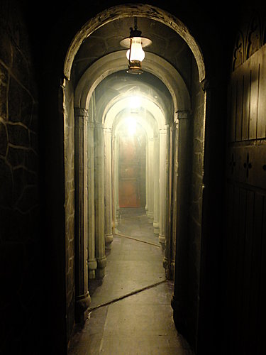 DSCF2231